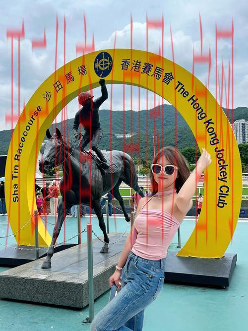 皇冠体育香港, 揭秘皇冠体育香港的独特魅力与用户体验